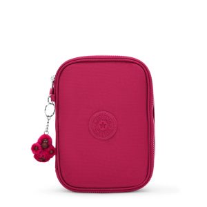 100 Pens Case