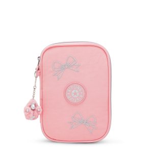 100 Pens Case