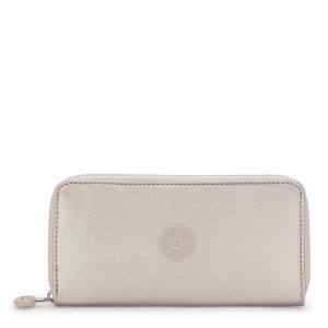 Money World Metallic Wallet
