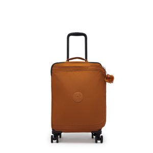 Spontaneous Small Rolling Luggage
