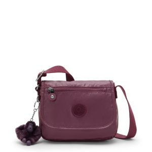 Sabian Metallic Crossbody Mini Bag
