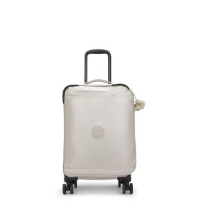 Spontaneous Small Metallic Rolling Luggage