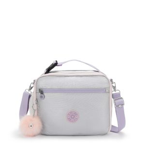 Ermy Metallic Lunch Bag